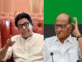 NCP's Rohit Pawar Urges Raj Thackeray to Embrace 'Maharashtra Dharma' Amid Grand Alliance Entry Speculation - Hindi News | NCP's Rohit Pawar Urges Raj Thackeray to Embrace 'Maharashtra Dharma' Amid Grand Alliance Entry Speculation | Latest maharashtra News at Lokmattimes.com