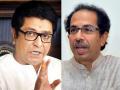 Raj Thackeray: I don't think Mahavikas Aghadi government will fall - Hindi News | Raj Thackeray: I don't think Mahavikas Aghadi government will fall | Latest maharashtra News at Lokmattimes.com
