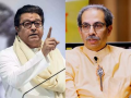 Uddhav Thackeray and Raj Thackeray’s Joint Protest Cancelled After Maharashtra Govt Withdraws GRs on Three-Language Policy - Hindi News | Uddhav Thackeray and Raj Thackeray’s Joint Protest Cancelled After Maharashtra Govt Withdraws GRs on Three-Language Policy | Latest maharashtra News at Lokmattimes.com