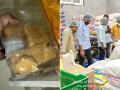 Rameshwaram Cafe and Other Eateries Raided in Hyderabad, Cockroaches Found in Food (See Pics and Videos) - Hindi News | Rameshwaram Cafe and Other Eateries Raided in Hyderabad, Cockroaches Found in Food (See Pics and Videos) | Latest national News at Lokmattimes.com