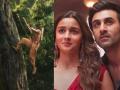 Ranbir Kapoor Starrer 'Ramayana' FIRST Look Gets Praise From Wife Alia Bhatt, Says 'Some Things Don’t Need Words' - Hindi News | Ranbir Kapoor Starrer 'Ramayana' FIRST Look Gets Praise From Wife Alia Bhatt, Says 'Some Things Don’t Need Words' | Latest entertainment News at Lokmattimes.com