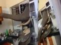 Viral Video: Elephant breaks into kitchen looking for food - Hindi News | Viral Video: Elephant breaks into kitchen looking for food | Latest social-viral News at Lokmattimes.com