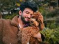 Rohit Saraf Voices Concern Over Supreme Court’s Order on Community Dogs, Requests Citizens to Adopt Indies - Hindi News | Rohit Saraf Voices Concern Over Supreme Court’s Order on Community Dogs, Requests Citizens to Adopt Indies | Latest entertainment News at Lokmattimes.com