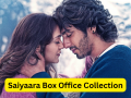 Saiyaara Box Office Collection Day 20: Ahaan Panday and Aneet Padda’s Film Hits Rs 306.6 Crore in India - Hindi News | Saiyaara Box Office Collection Day 20: Ahaan Panday and Aneet Padda’s Film Hits Rs 306.6 Crore in India | Latest entertainment News at Lokmattimes.com
