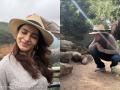 Samantha Ruth Prabhu Enjoys a Day with Kangaroos and Koalas at Sydney Wildlife Park, Fans React - Hindi News | Samantha Ruth Prabhu Enjoys a Day with Kangaroos and Koalas at Sydney Wildlife Park, Fans React | Latest entertainment News at Lokmattimes.com