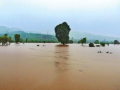 Severe flooding in Chiplun, Vashishti river reaches dangerous level - Hindi News | Severe flooding in Chiplun, Vashishti river reaches dangerous level | Latest maharashtra News at Lokmattimes.com