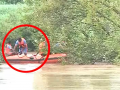 Kolhapur: Youth stuck on tree for 12 hours after attempted suicide in Warana river - Hindi News | Kolhapur: Youth stuck on tree for 12 hours after attempted suicide in Warana river | Latest maharashtra News at Lokmattimes.com