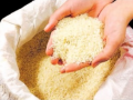 Nagpur: Prices of newly arrived rice in market spike - Hindi News | Nagpur: Prices of newly arrived rice in market spike | Latest maharashtra News at Lokmattimes.com