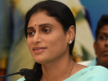 "Promise to Work Faithfully for Congress Glory in Andhra Pradesh": YS Sharmila Reddy After Being Appointed State Party Chief - Hindi News | "Promise to Work Faithfully for Congress Glory in Andhra Pradesh": YS Sharmila Reddy After Being Appointed State Party Chief | Latest national News at Lokmattimes.com