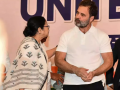 "We Cannot Imagine...": Congress's First Reaction After Mamata Banerjee Decides to Go Solo in Bengal - Hindi News | "We Cannot Imagine...": Congress's First Reaction After Mamata Banerjee Decides to Go Solo in Bengal | Latest national News at Lokmattimes.com