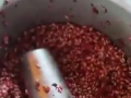 Man Discovers Cockroaches in Pomegranates Used to Make Juice at Shop in Greater Noida (Watch Video) - Hindi News | Man Discovers Cockroaches in Pomegranates Used to Make Juice at Shop in Greater Noida (Watch Video) | Latest social-viral News at Lokmattimes.com