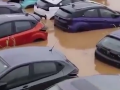 Andhra Pradesh Rains: Around 300 Brand-New Cars Submerged in Vijayawada Floods - Hindi News | Andhra Pradesh Rains: Around 300 Brand-New Cars Submerged in Vijayawada Floods | Latest national News at Lokmattimes.com