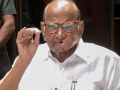Pune's Identity Reduced to the 'Koyta Gang': Sharad Pawar's Sharp Attack Against State Government - Hindi News | Pune's Identity Reduced to the 'Koyta Gang': Sharad Pawar's Sharp Attack Against State Government | Latest politics News at Lokmattimes.com