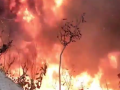 Tamil Nadu Fire: Massive Blaze Engulfs Wire Cables During Railway Track Maintenance in Thoothukudi (Watch Video) - Hindi News | Tamil Nadu Fire: Massive Blaze Engulfs Wire Cables During Railway Track Maintenance in Thoothukudi (Watch Video) | Latest national News at Lokmattimes.com