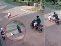 Karnataka: 7-Year-Old Boy Severely Injured in Hit-and-Run Accident In Baliyoor; CCTV Footage Goes Viral (Watch Video) - Hindi News | Karnataka: 7-Year-Old Boy Severely Injured in Hit-and-Run Accident In Baliyoor; CCTV Footage Goes Viral (Watch Video) | Latest national News at Lokmattimes.com