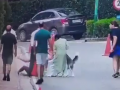 Gurugram Dog Attack: Woman Mauled by Pet Husky During Walk Inside Residential Society (Watch Video) - Hindi News | Gurugram Dog Attack: Woman Mauled by Pet Husky During Walk Inside Residential Society (Watch Video) | Latest national News at Lokmattimes.com