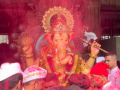 Mumbai: After 177 Days, Devotees Bid Farewell to Charkop Cha Raja (Watch Video) - Hindi News | Mumbai: After 177 Days, Devotees Bid Farewell to Charkop Cha Raja (Watch Video) | Latest mumbai News at Lokmattimes.com