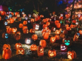 Halloween 2025: Date, History, Meaning, and Why the World Celebrates the Spookiest Night of the Year - Hindi News | Halloween 2025: Date, History, Meaning, and Why the World Celebrates the Spookiest Night of the Year | Latest lifestyle News at Lokmattimes.com