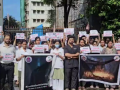 Maharashtra: Mumbai Doctors Stage Silent Protest, Demand Fair Probe in Phaltan Doctor Rape and Suicide Case - Hindi News | Maharashtra: Mumbai Doctors Stage Silent Protest, Demand Fair Probe in Phaltan Doctor Rape and Suicide Case | Latest maharashtra News at Lokmattimes.com