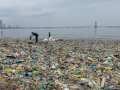 Mumbai Among Top Global Polluters as Plastic Waste Chokes Coastline - Hindi News | Mumbai Among Top Global Polluters as Plastic Waste Chokes Coastline | Latest mumbai News at Lokmattimes.com
