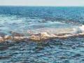 Mysterious Water Swirl Spotted in Deep Sea Off Vasai Coast Sparks Fear Among Fishermen (Watch Video) - Hindi News | Mysterious Water Swirl Spotted in Deep Sea Off Vasai Coast Sparks Fear Among Fishermen (Watch Video) | Latest maharashtra News at Lokmattimes.com