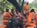 Maharashtra Rains: Heavy Downpur Causes Severe Flooding in Shahapur, NDRF Engaged in Rescue Operations - Hindi News | Maharashtra Rains: Heavy Downpur Causes Severe Flooding in Shahapur, NDRF Engaged in Rescue Operations | Latest thane News at Lokmattimes.com
