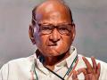 NCP-SP Announces Cancellation of Sharad Pawar’s Programs for 4 Days Due to Health Concerns - Hindi News | NCP-SP Announces Cancellation of Sharad Pawar’s Programs for 4 Days Due to Health Concerns | Latest maharashtra News at Lokmattimes.com