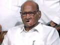 Sharad Pawar unlikely to withdraw resignation, panel to decide new party chief today - Hindi News | Sharad Pawar unlikely to withdraw resignation, panel to decide new party chief today | Latest maharashtra News at Lokmattimes.com
