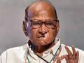 Sharad Pawar Calls for Opposition Unity, Cites Public Discontent Despite Maharashtra Poll Results - Hindi News | Sharad Pawar Calls for Opposition Unity, Cites Public Discontent Despite Maharashtra Poll Results | Latest maharashtra News at Lokmattimes.com
