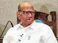 Sharad Pawar's NCP accuses Ajit Pawar faction of filing fake affidavits - Hindi News | Sharad Pawar's NCP accuses Ajit Pawar faction of filing fake affidavits | Latest maharashtra News at Lokmattimes.com