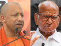 Sharad Pawar Reacts to Yogi Adityanath’s “ Batenge Toh Katenge” Slogan After MVA’s Crushing Defeat in Maharashtra Assembly Election 2024 - Hindi News | Sharad Pawar Reacts to Yogi Adityanath’s “ Batenge Toh Katenge” Slogan After MVA’s Crushing Defeat in Maharashtra Assembly Election 2024 | Latest maharashtra News at Lokmattimes.com