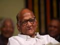 Sharad Pawar Won't Join Mahayuti Alliance, Says Sanjay Raut - Hindi News | Sharad Pawar Won't Join Mahayuti Alliance, Says Sanjay Raut | Latest maharashtra News at Lokmattimes.com