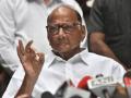 Sharad Pawar: Won't support Sena, party will sit in opposition - Hindi News | Sharad Pawar: Won't support Sena, party will sit in opposition | Latest politics News at Lokmattimes.com