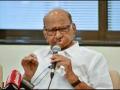 NCP (SP) chief Sharad Pawar Congratulates Indian Cricket Team On T20 World Cup Win - Hindi News | NCP (SP) chief Sharad Pawar Congratulates Indian Cricket Team On T20 World Cup Win | Latest cricket News at Lokmattimes.com