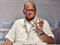 Sharad Pawar to visit Jalna after Maratha quota agitation turns violent - Hindi News | Sharad Pawar to visit Jalna after Maratha quota agitation turns violent | Latest maharashtra News at Lokmattimes.com