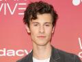 Shawn Mendes calls off his world tour to prioritise mental health - Hindi News | Shawn Mendes calls off his world tour to prioritise mental health | Latest entertainment News at Lokmattimes.com