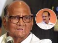 Sharad Pawar hits out at Ajit Pawar over EC move says, won't allow anyone to snatch NCP symbol - Hindi News | Sharad Pawar hits out at Ajit Pawar over EC move says, won't allow anyone to snatch NCP symbol | Latest maharashtra News at Lokmattimes.com