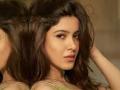 Shanaya Kapoor Teases ‘Passion Project’ with Intriguing Insta Post - Hindi News | Shanaya Kapoor Teases ‘Passion Project’ with Intriguing Insta Post | Latest entertainment News at Lokmattimes.com