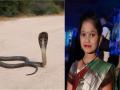 Raigad: Minor girl dies from snake bite, villagers raise concerns over medicine shortage - Hindi News | Raigad: Minor girl dies from snake bite, villagers raise concerns over medicine shortage | Latest maharashtra News at Lokmattimes.com