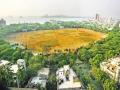 Mumbai: Dust Pollution in Shivaji Park Likely to Persist as BMC's Proposed Solution Faces Approval Delays - Hindi News | Mumbai: Dust Pollution in Shivaji Park Likely to Persist as BMC's Proposed Solution Faces Approval Delays | Latest maharashtra News at Lokmattimes.com