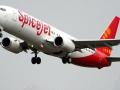 SpiceJet Flight Returns to Delhi Due to Bird Hit on Engine: - Hindi News | SpiceJet Flight Returns to Delhi Due to Bird Hit on Engine: | Latest national News at Lokmattimes.com