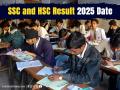 Maharashtra SSC, HSC Board Result 2025: Expected Date and Time; Check How to Download Mark Sheets - Hindi News | Maharashtra SSC, HSC Board Result 2025: Expected Date and Time; Check How to Download Mark Sheets | Latest education News at Lokmattimes.com