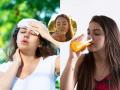 Beat the Heat: Top 3 Foods to Keep Your Body Cool in Extreme Summer | Latest lifestyle News at www.lokmattimes.com