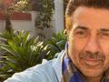 Sunny Deol suffers back injury, actor flies to US for medical treatment - Hindi News | Sunny Deol suffers back injury, actor flies to US for medical treatment | Latest entertainment News at Lokmattimes.com