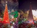 Bengaluru mall unveils India’s tallest Christmas tree that is 100-feet tall - Hindi News | Bengaluru mall unveils India’s tallest Christmas tree that is 100-feet tall | Latest lifestyle News at Lokmattimes.com