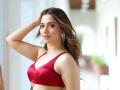 Illegal IPL Streaming App Case: Actor Tamannaah Bhatia Gets Summons From Maharashtra Cyber Cell - Hindi News | Illegal IPL Streaming App Case: Actor Tamannaah Bhatia Gets Summons From Maharashtra Cyber Cell | Latest entertainment News at Lokmattimes.com