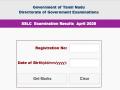 Tamil Nadu SSLC Result 2025 Out at tnresults.nic.in: TNDGE Announces Class 10th Result; Here's How to Check - Hindi News | Tamil Nadu SSLC Result 2025 Out at tnresults.nic.in: TNDGE Announces Class 10th Result; Here's How to Check | Latest education News at Lokmattimes.com