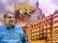 Ratan Tata's Heartwarming Gesture for Stray Dog at Taj Hotel Wins Hearts Online - Hindi News | Ratan Tata's Heartwarming Gesture for Stray Dog at Taj Hotel Wins Hearts Online | Latest social-viral News at Lokmattimes.com