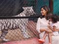Ram Charan and Upasana Celebrate Daughter Klin Kaara’s 2nd Birthday with a Special Visit to Her Tigress Namesake - Hindi News | Ram Charan and Upasana Celebrate Daughter Klin Kaara’s 2nd Birthday with a Special Visit to Her Tigress Namesake | Latest entertainment News at Lokmattimes.com
