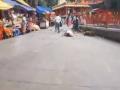 Andhra Pradesh: Woman Devotee Injured After Tree Branch Falls On Her Head at Tirumala Temple in Tirupati; Disturbing Video Goes Viral - Hindi News | Andhra Pradesh: Woman Devotee Injured After Tree Branch Falls On Her Head at Tirumala Temple in Tirupati; Disturbing Video Goes Viral | Latest national News at Lokmattimes.com